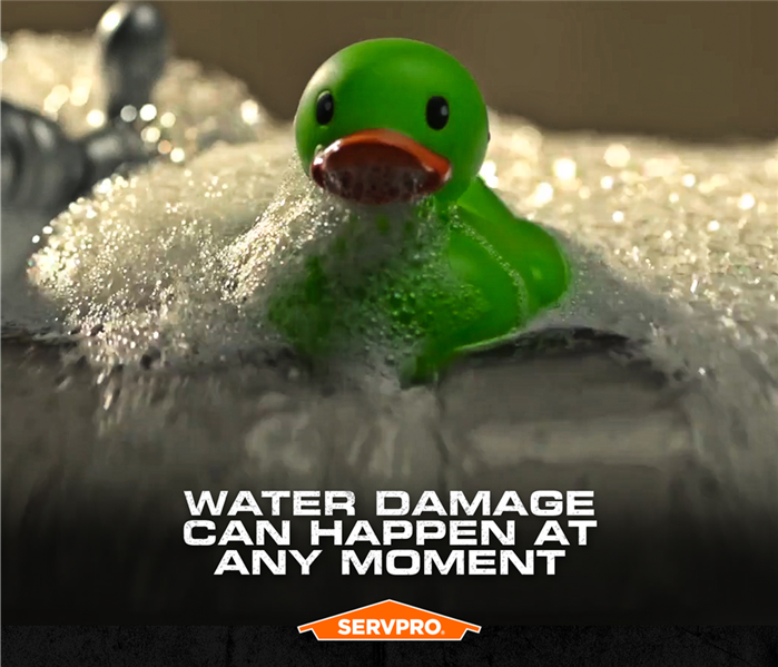 rubber duck in a bathtub, servpro poster